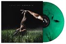 "FEED ME AMNESIA" oben, darunter ein gestreckter Arm, der eine Person im Gras berührt, daneben eine grüne Vinyl-Schallplatte., LP