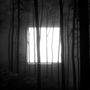 Törzs: Menedék (Clear Vinyl), LP, LP