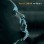 "Terry Callier Live Peace" steht in gelb und weiß. Profil eines Mannes, der nach rechts schaut, in bläulichem Licht., 2 LPs