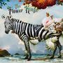 Text: „The Flower Kings“. Zebra mit Blumen und Schmetterlingen verziert, Meereslandschaft im Hintergrund., CD