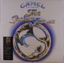 "CAMEL music inspired by The Snow Goose" in blauen, gelben und weißen Buchstaben über einem stilisierten Gans-Design., LP