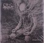 Crust: Dissolution, LP, LP
