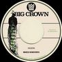 "BIG CROWN" und "Houdini" sowie "Marco Benevento" steht auf einer Schallplatten-Optik mit Pfauenabbildung und Logo oben., Single 7"