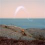 Cassandra Jenkins: An Overview On Phenomenal Nature (Pink Vinyl), LP