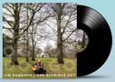 Text: "Jim Camacho | One Glorious Day". Ein Mann spielt Gitarre in einem Park, umgeben von kahlen Bäumen, daneben eine Schallplatte., LP