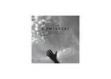 The Lumineers: Brightside: Bonus Tracks (Limited Edition) (Black with White Splatter Vinyl), Single 10"