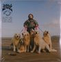 „THE DEBUT ALBUM“ gefolgt von sechs Hunden an roten Leinen, geführt von einer Person in Tarnjacke am Strand., 2 LPs