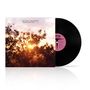 "Kurt Vile / Luke Roberts, Classic Love (ep)". Sonnenuntergang hinter einem Baum, daneben eine Schallplatte., LP