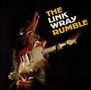 Text: „THE LINK WRAY RUMBLE“. Verschwommene Figur mit E-Gitarre, energetische Bewegungen, dunkler Hintergrund., CD