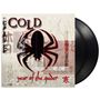 "Cold", "year of the spider". Illustration: Schwarze Spinne auf gezeichnetem Hintergrund, asiatische Schriftzeichen., 2 LPs