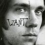 Rufus Wainwright: Want 1 & 2, CD