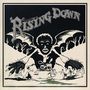 The Roots (Hip-Hop): Rising Down, 2 LPs, 2 LPs