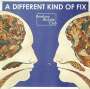 Bombay Bicycle Club: A Different Kind Of Fix, LP