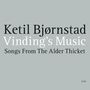Ketil Björnstad (geb. 1952): Vinding's Music - Songs From The Alder Thicket, 2 CDs