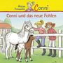 40: Conni Und Das Neue Fohlen, CD