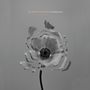 The Naked And Famous: In Rolling Waves, CD, CD