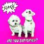 Slaves: Are You Satisfied?, CD