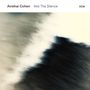 Avishai Cohen (Trumpet): Into The Silence (180g), 2 LPs