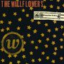 The Wallflowers: Bringing Down The Horse, 2 LPs