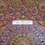 Nick Mulvey: Wake Up Now (180g), LP