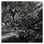 Luke Howard: Open Heart Story, CD