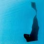 Ich kann den Text nicht erkennen. Die Szene zeigt einen langen, dunklen Schatten auf einer hellblauen Oberfläche., LP