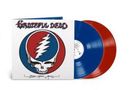 "Grateful Dead" und "Steal Your Face" sind in einer Illustration eines Totenkopfs mit blau-rot Blitz und bunten Schallplatten sichtbar.
