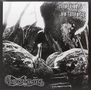 Gurnemanz: No Rays Of Noise (remastered) (180g) (Limited Edition), LP