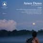 Amen Dunes: Love, LP