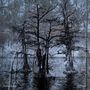 Nathan Bowles: Nansemond, CD, CD