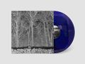 Pile: Sunshine and Balance Beams (Transparent Colored Vinyl), LP