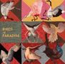 Text "BIRDS of PARADISE". Bunte Illustration von Vögeln auf einem Patchwork-Hintergrund in Rot- und Brauntönen., LP