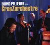 Bruno Pelletier: Et Le GrosZorchestre, CD