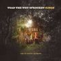 „TOAD THE WET SPROCKET RINGS“ und „THE ACOUSTIC SESSIONS“. Drei Personen stehen vor einer beleuchteten Hütte im Wald., CD