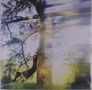 Keine erkennbaren Texte. Eine Person lehnt an einem Baum, verschwommene Bewegungseffekte., LP