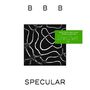 Bye Bye Bicycle: Specular EP, LP