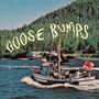 Boyscott: Goose Bumps (Green & Blonde Swirl Vinyl), LP