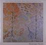 Luther Dickinson / John Medeski / Johnny Vidacovich / Dominic Davis: Mississippi Murals, LP, LP