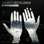 A Place To Bury Strangers: Synthesizer, MC