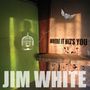 Jim White: Where It Hits You (180g), 2 LPs, 2 LPs