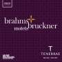 : Tenebrae - Motetten von Bruckner & Brahms, CD