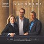 Franz Schubert: Lieder (in englischer Sprache), CD