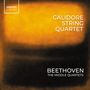 Ludwig van Beethoven: Streichquartette Vol.2 - The Middle Quartets, 3 CDs