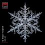 „O Holy Night Gray“ und ein Logo links oben. Darunter eine detaillierte Schneeflocke auf schwarzem Hintergrund.
