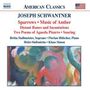 Joseph Schwantner (geb. 1943): Music of Amber, CD