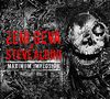 Geva, Zeni & Albini, Steve: Maximum Implosion, 2 CDs, 2 CDs