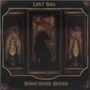 Lost Dog Street Band: Homeward Bound, CD, CD