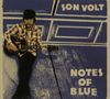 Son Volt: Notes of Blue, CD, CD