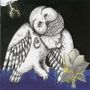 Songs:Ohia: The Magnolia Electric Co., CD