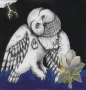 Songs: Ohia: Magnolia Electric Co. (10th-Anniversary-Deluxe-Edition), 2 LPs